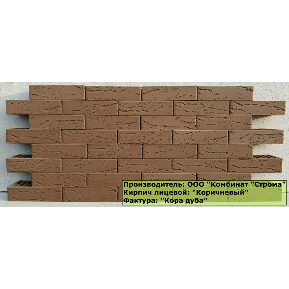 stroma_korichneviy_kora_duba_ (3)