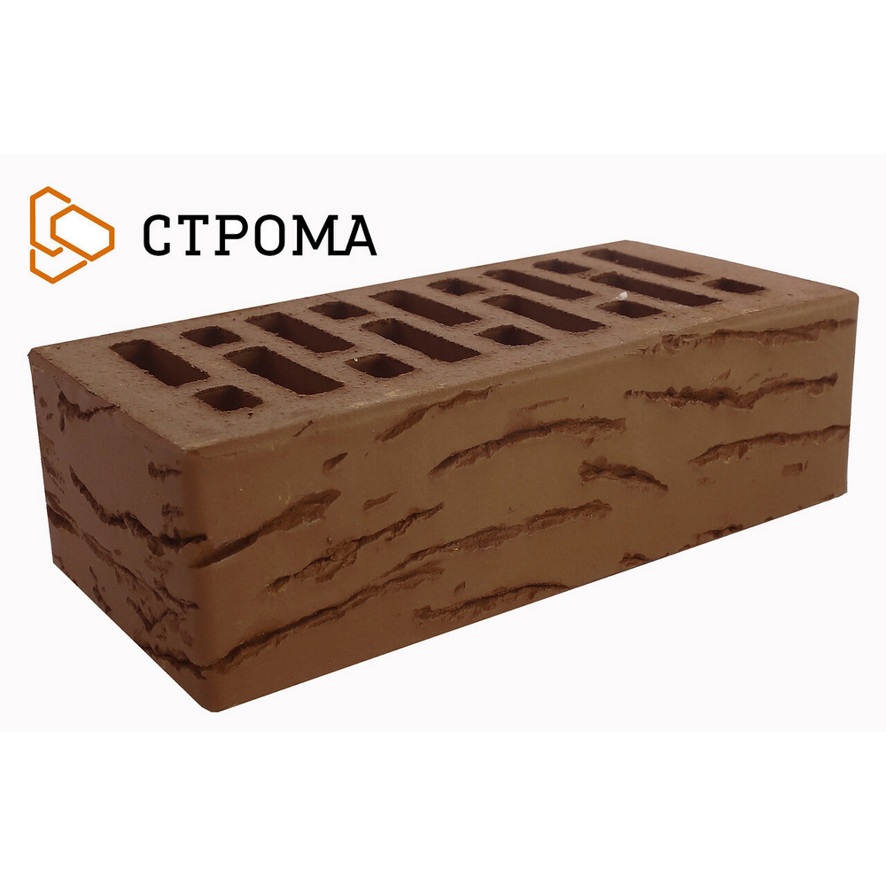 stroma_korichneviy_kora_duba_14_ (1)